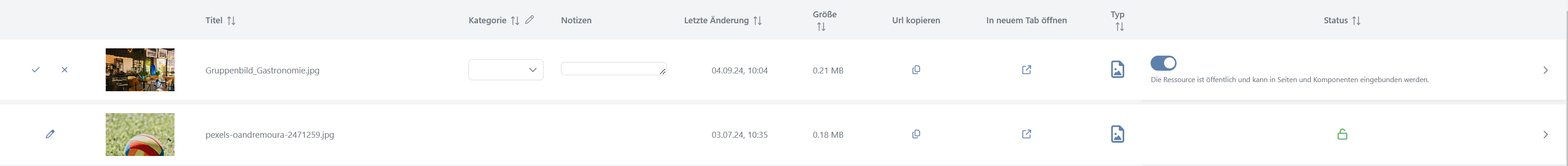 Bearbeitung einer Datei in der Mediathek